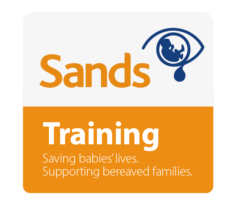 Sands Training logo